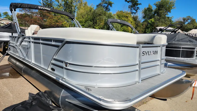 Slide: The Image of Sylvan MIRAGE 8522 2025 - 3