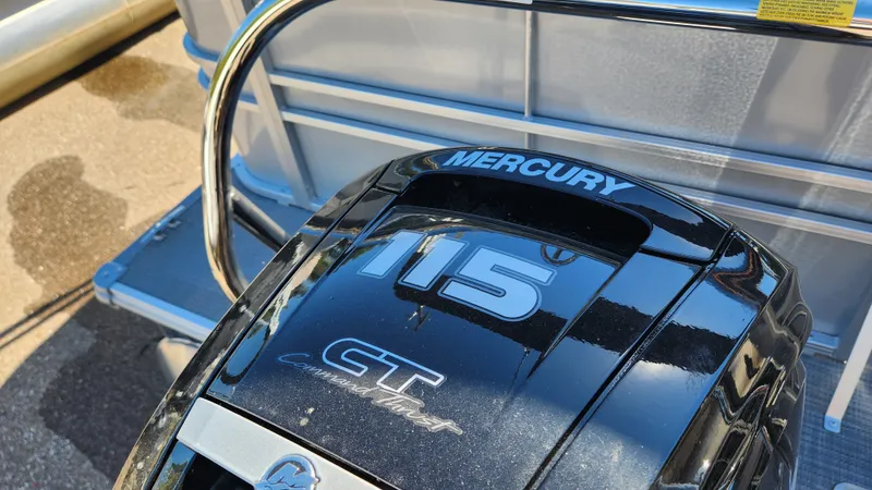 Slide: The Image of Sylvan MIRAGE 8522 2025 - 39