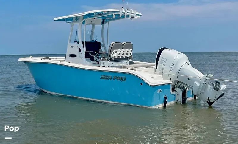 The Image of Sea Pro 239DX 2021 - 16643352