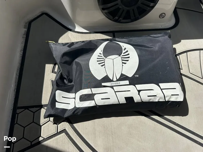 Slide: The Image of Scarab 195 ID 2019 - 16690079