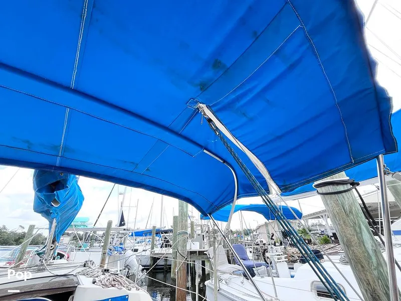 Slide: The Image of Bimini - 16667367