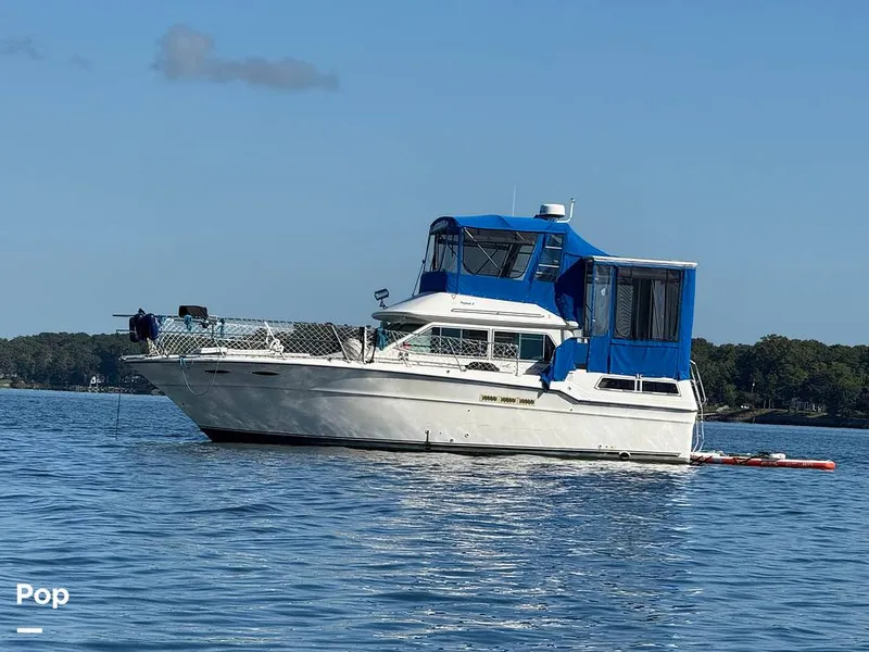 The Image of Sea Ray 360 1987 - 16654375