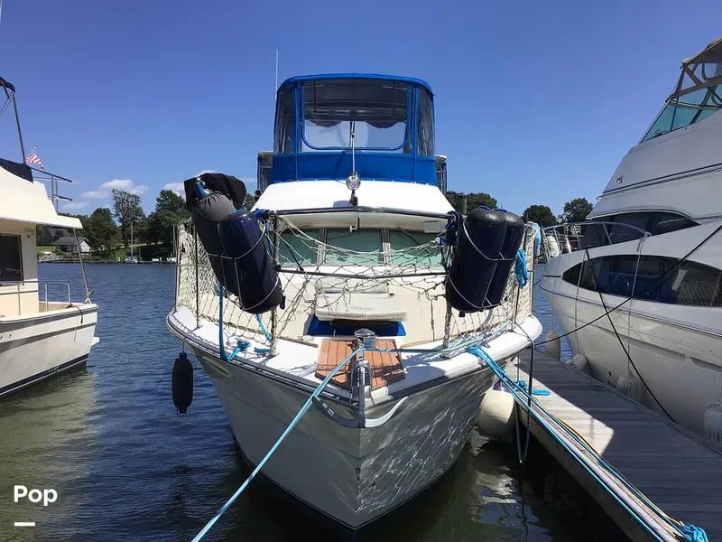 Slide: The Image of Sea Ray 360 Aft Cabin 1987 - 16687896