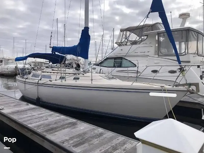 The Image of Catalina 36 1987 - 16780092