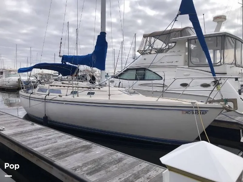 The Image of Catalina 36/SL 1987 - 16678559