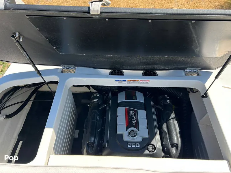 Slide: The Image of Sea Ray SPX 210 I/O 2024 - 16694121