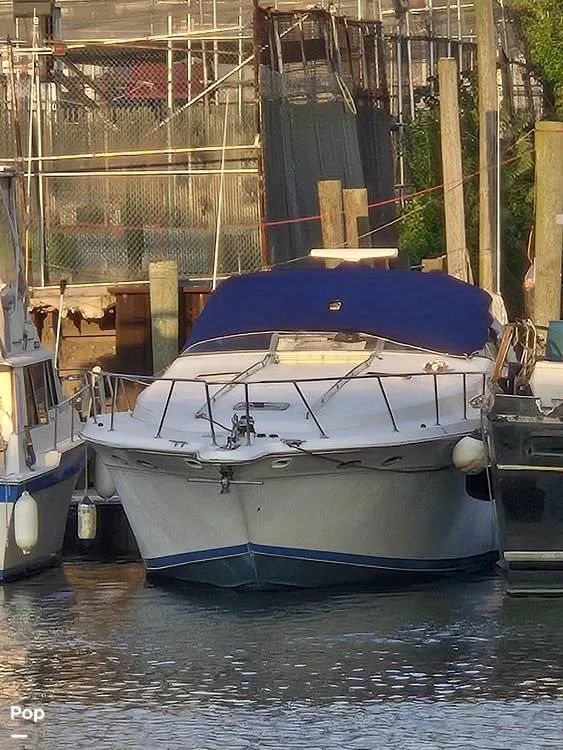 The Image of Sea Ray 500 Sundancer 1993 - 16698006
