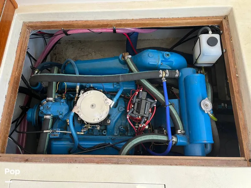 Slide: The Image of Columbia 30 Custom 1965 - 16740928