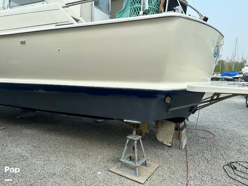 Slide: The Image of Chris-Craft Commander 38 1970 - 16718825