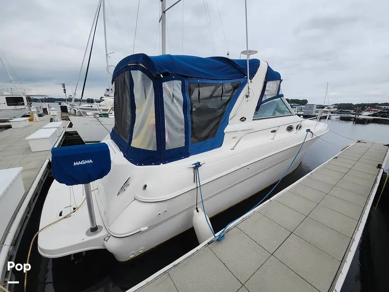 The Image of Sea Ray 310 Sundancer 2001 - 16743588