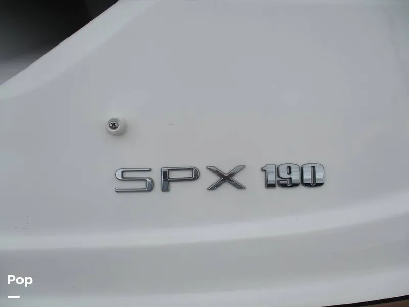 Slide: The Image of Sea Ray SPX 190 2019 - 16736062