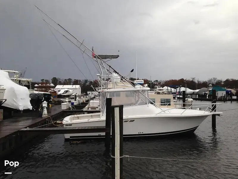 The Image of Luhrs Tournament 290 Open 2000 - 16861095