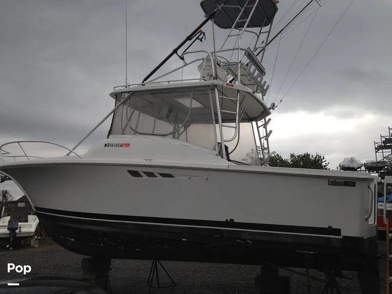 Slide: The Image of Luhrs Tournament 290 Open 2000 - 16834072