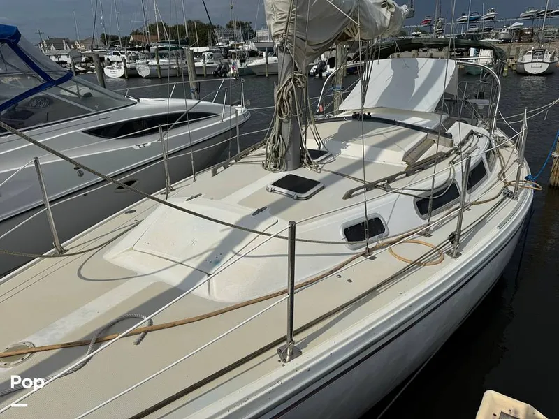 Slide: The Image of Catalina 30 1981 - 16752995