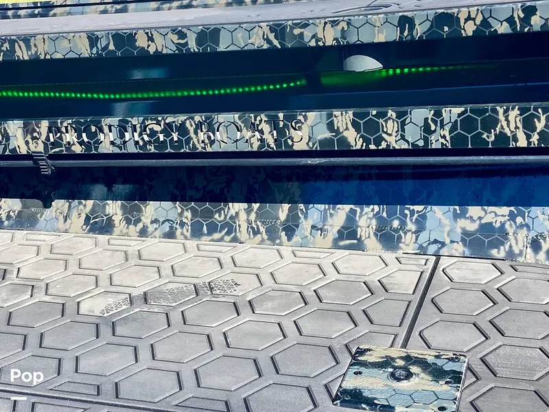 Slide: The Image of Prodigy 2270 Pad Hull 2026 - 16798229