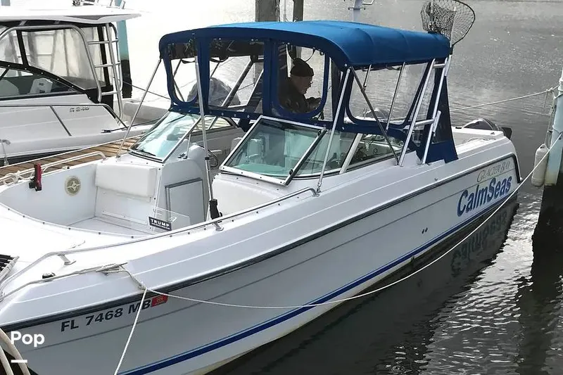 Slide: The Image of Glacier Bay 2640 renegade 2002 - 16749839