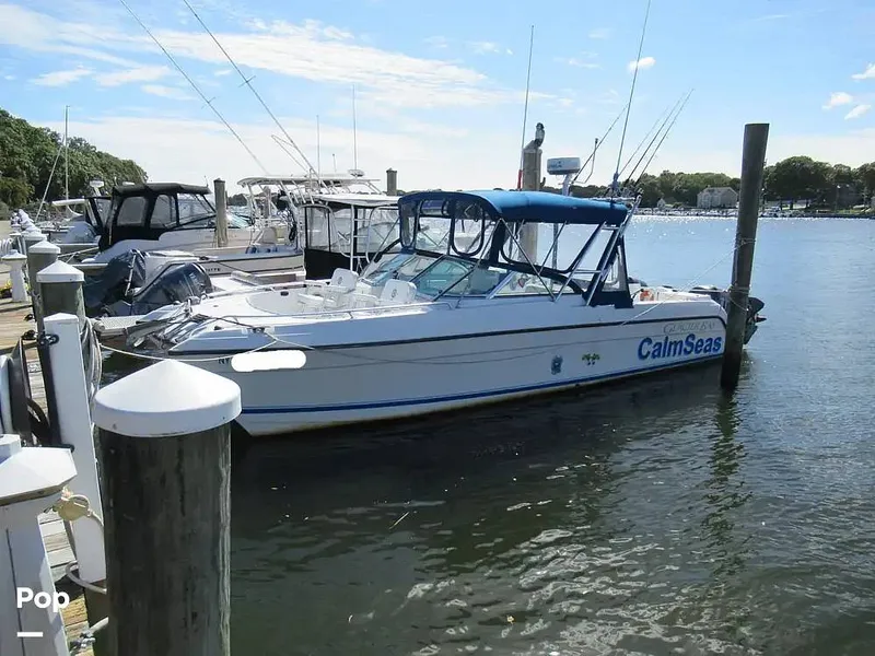 The Image of Glacier Bay 2640 Renegade 2002 - undefined