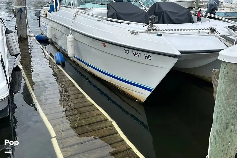 Slide: The Image of Glacier Bay 2640 renegade 2002 - 16749842