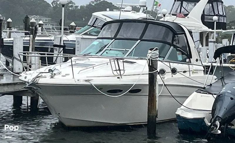 The Image of Sea Ray 290 Sundancer 2001 - 16761154