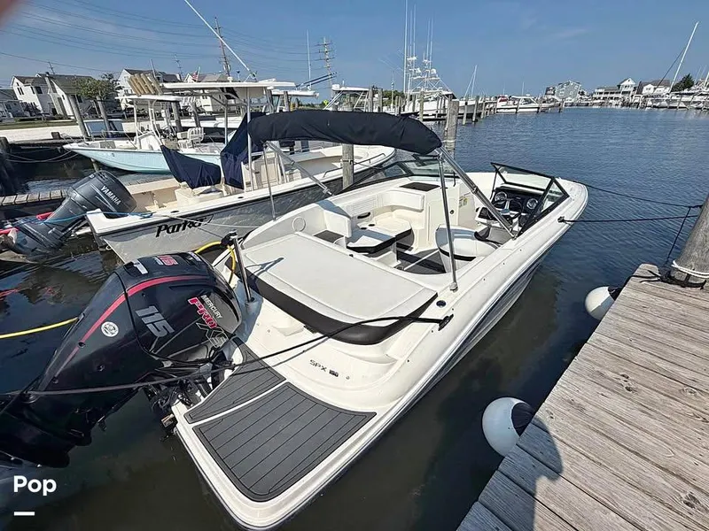 The Image of Sea Ray SPX 190 2020 - 16828294