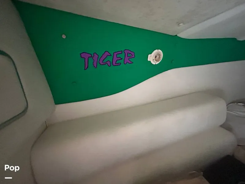 Slide: The Image of Cigarette Tiger 2001 - 16792896