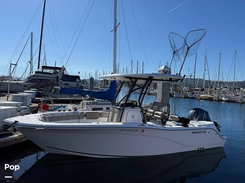 Slide: The Image of Sea Fox 228 Commander 2022 - 16772412
