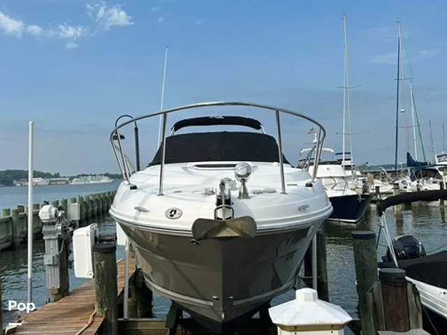 The Image of Sea Ray Amberjack 270 2006 - 16799995