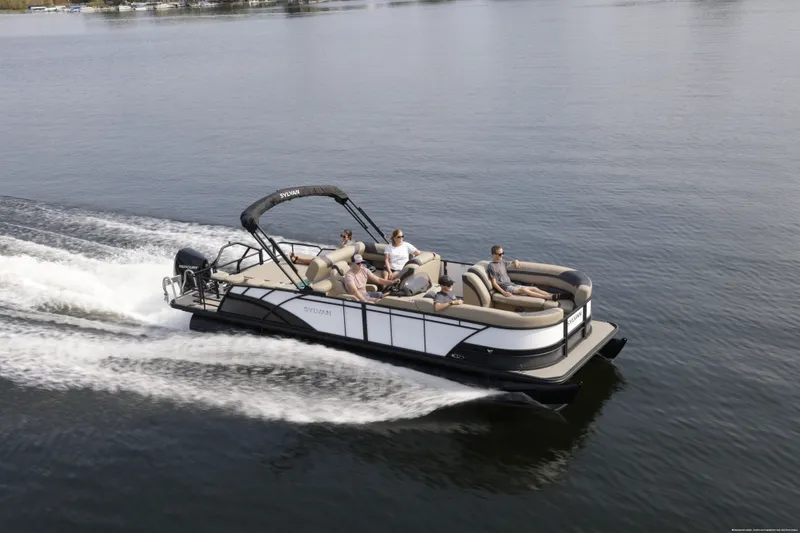 The Image of Sylvan L3 2025 - 0