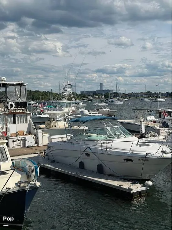 The Image of Sea Ray 290 Amberjack 2003 - 16786868