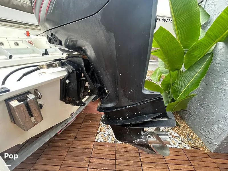 Slide: The Image of Novurania DL 550 2015 - 16793153
