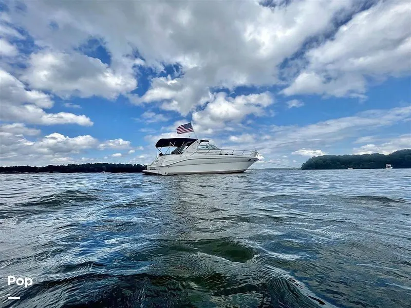 The Image of Sea Ray 370 sundancer 1995 - 16800886