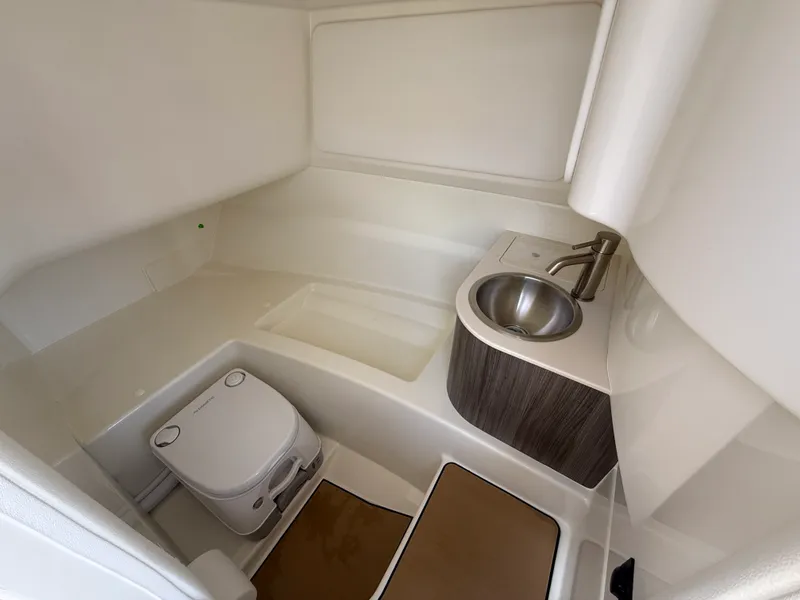 Slide: The Image of Sea Ray SDX 250 Outboard 2026 - 23