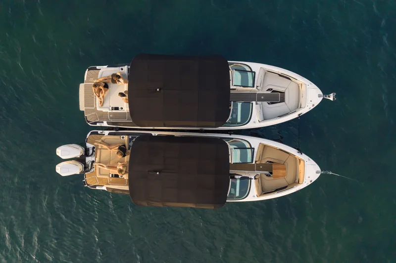 Slide: The Image of Sea Ray SLX 280 2026 - 44