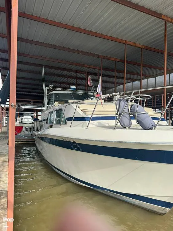 The Image of Chris-Craft 381 Catalina 1980 - 16843126
