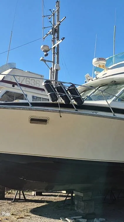 Slide: The Image of Bertram 35 Convertible 1975 - 16829066
