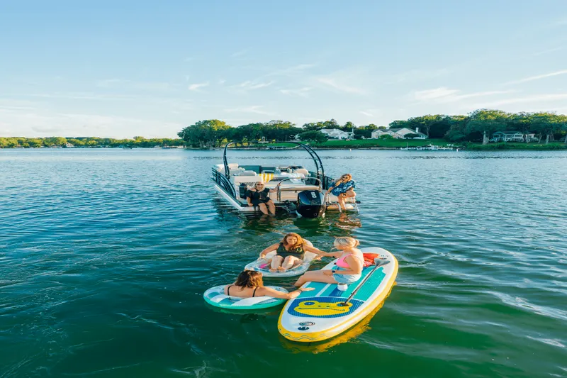 Slide: The Image of Harris 230SL SPT 2026 - 51