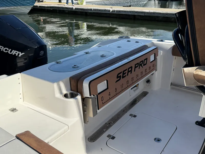 Slide: The Image of Sea Pro 219 CC 2020 - 14