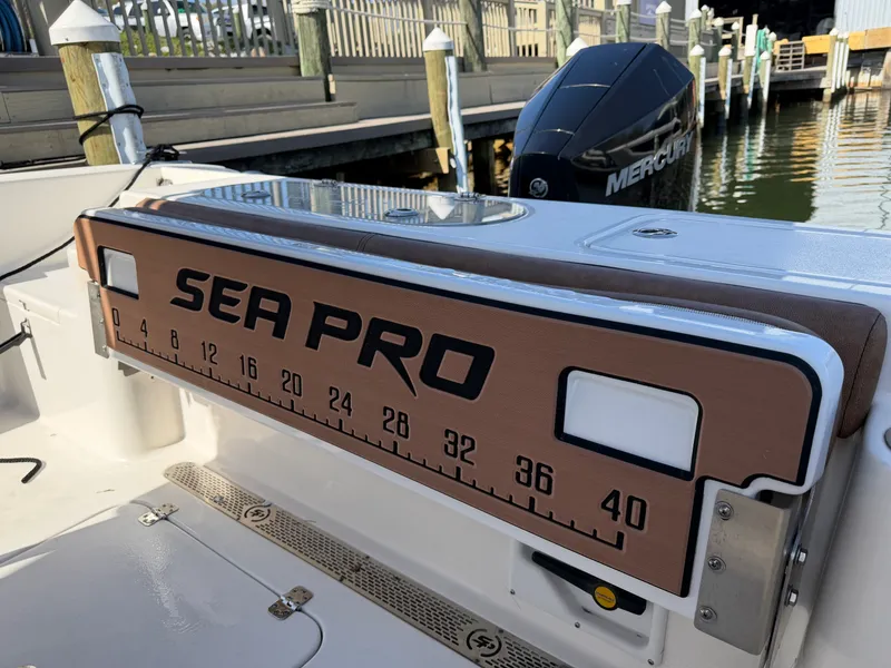 Slide: The Image of Sea Pro 219 CC 2020 - 38