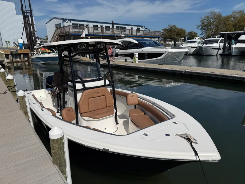 Slide: The Image of Sea Pro 219 CC 2020 - 4