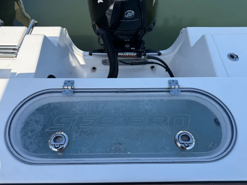 Slide: The Image of Sea Pro 219 CC 2020 - 40