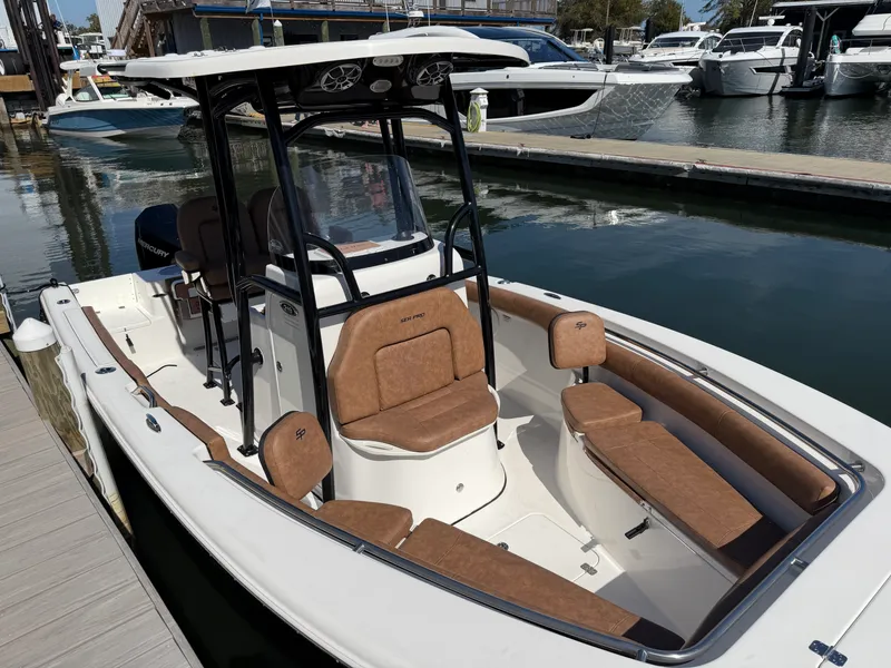 Slide: The Image of Sea Pro 219 CC 2020 - 5