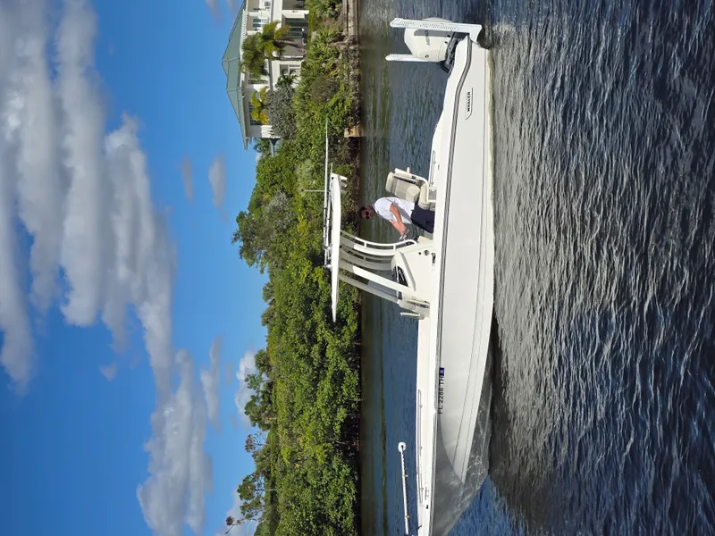 The Image of Boston Whaler 250 DAUNTLESS 2023 - undefined