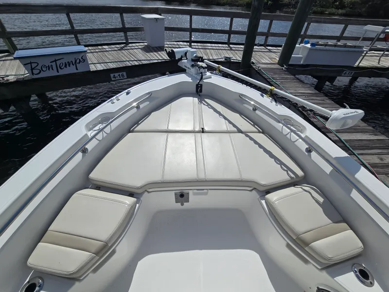 Slide: The Image of Boston Whaler 250 DAUNTLESS 2023 - 24