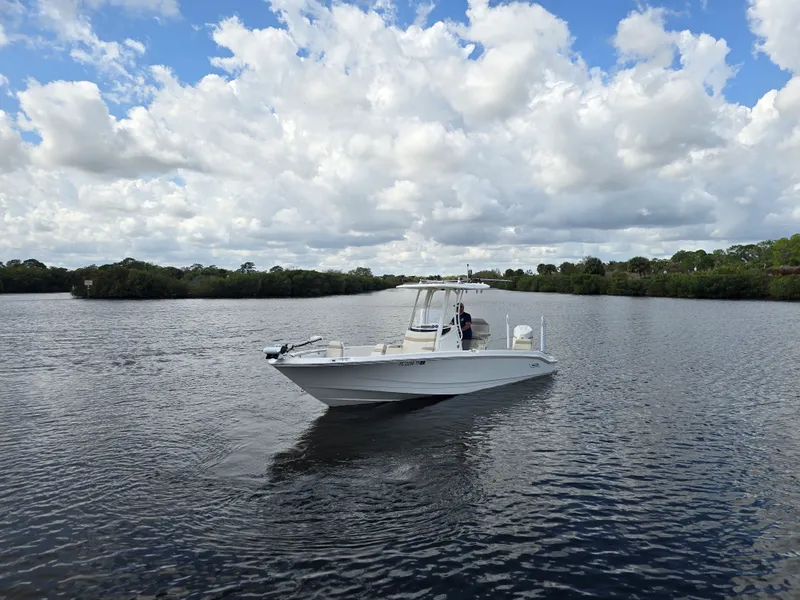 Slide: The Image of Boston Whaler 250 DAUNTLESS 2023 - 10