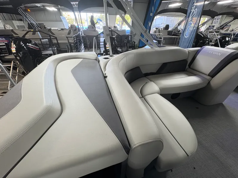 Slide: The Image of Sylvan MIRAGE 820 2025 - 13