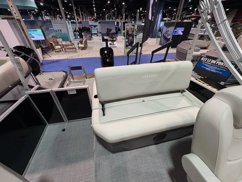 Slide: The Image of Sylvan MIRAGE 822 2025 - 10