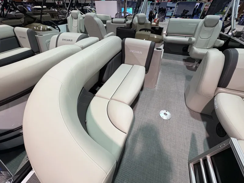 Slide: The Image of Sylvan MIRAGE 822 2025 - 2