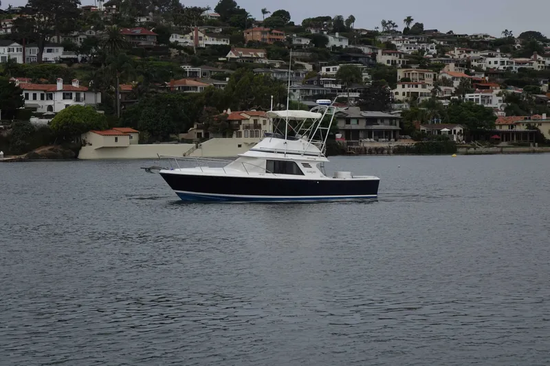 The Image of Blackfin 29 Flybridge 1988 - 0