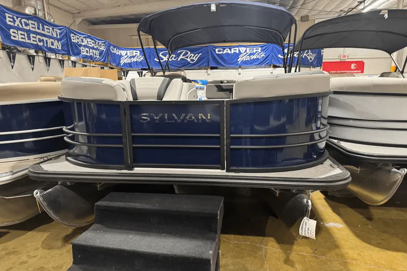 The Image of Sylvan L3 2025 - 0