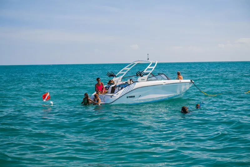 Slide: The Image of Yamaha 222S 2025 - 14